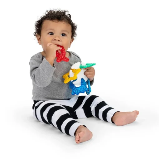 Teeth & Teethers*Baby Einstein Ocean Explorers Sea of Sensory Teether Toy