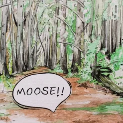 Books & Resources*Books Book - Moose on the Loose Board Book