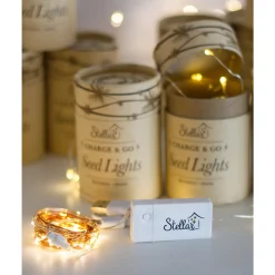 Night Lights|Night Lights*Stellar Haus Charge & Go Seed Lights