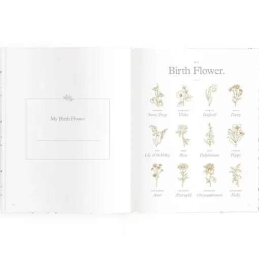 Books & Resources*Fox & Fallow Baby Book
