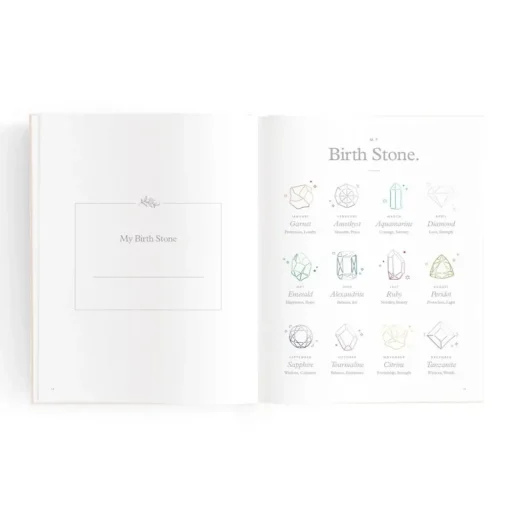 Books & Resources*Fox & Fallow Mini Baby Book