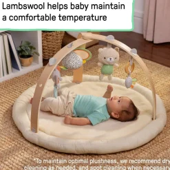Rugs & Play Mats*Ingenuity Every Season Plush Lambswool Activity Gym