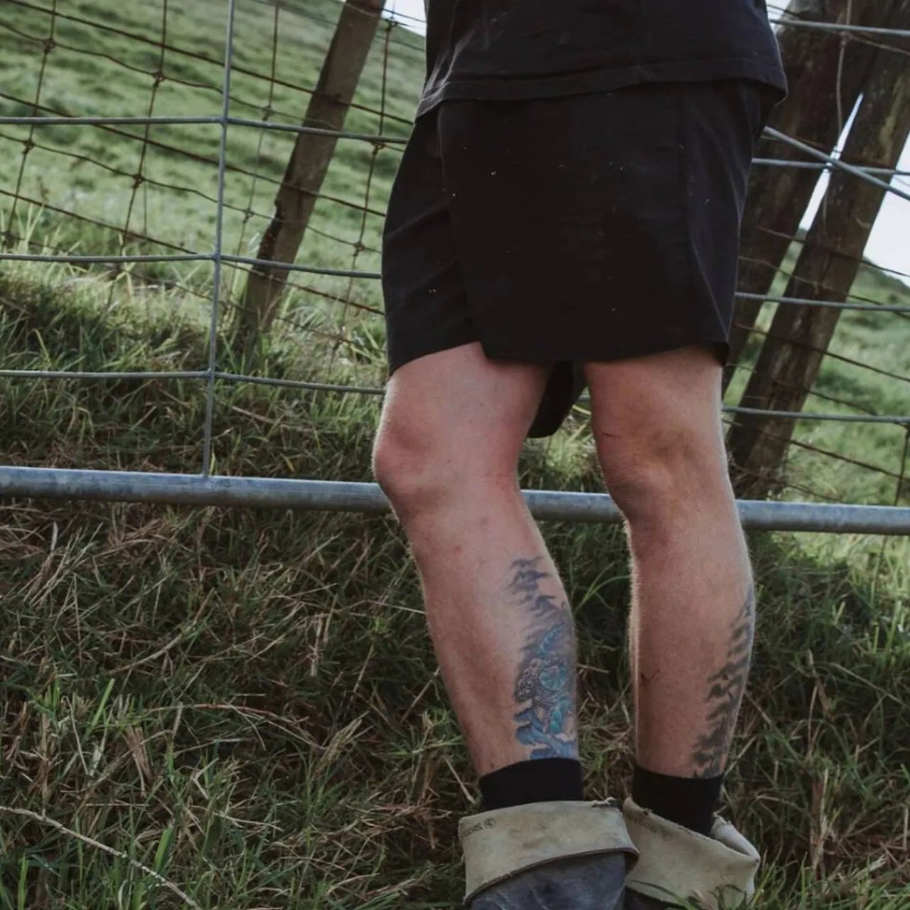 Grown Ups*Lamington Mens Crew Merino Socks - Rib