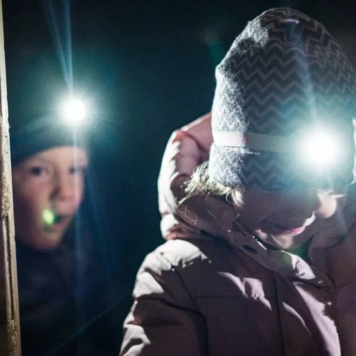 Family Outdoor Essentials*Ledlenser Kidled2 Kids Headlamp Dinosaurs