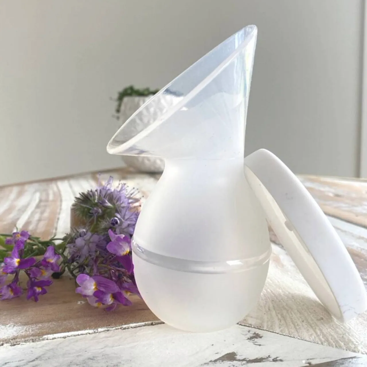 Breast Pumps & Accessories|Breast Pumps & Accessories*Milkbar 110ml Silicone Breastpump with Lid