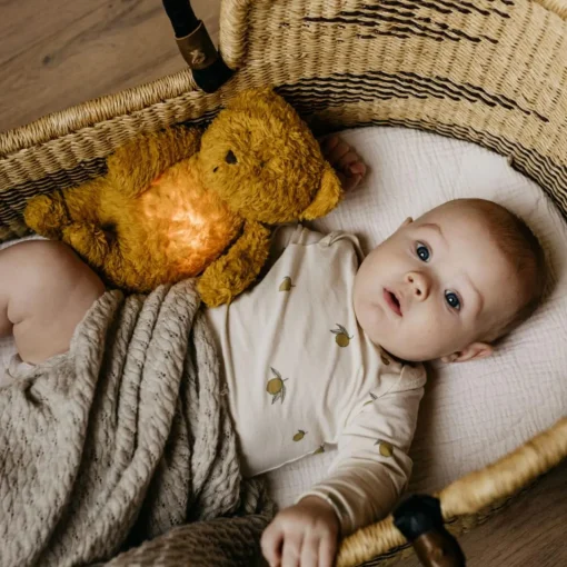 Night Lights|Comforters & Soft Toys*Moonie - The Organic Humming Bear Sand Natur