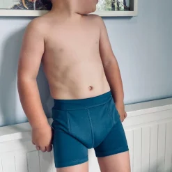 Toilet Training & Bedwetting|Nappies, Wipes & Wet Bags*Snazzipants Snazzi Pants Boys Night Trainers