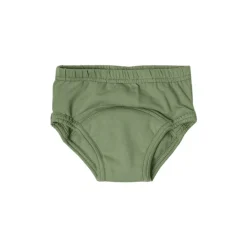 Toilet Training & Bedwetting*Snazzipants Snazzi Pants Organic Day Trainers