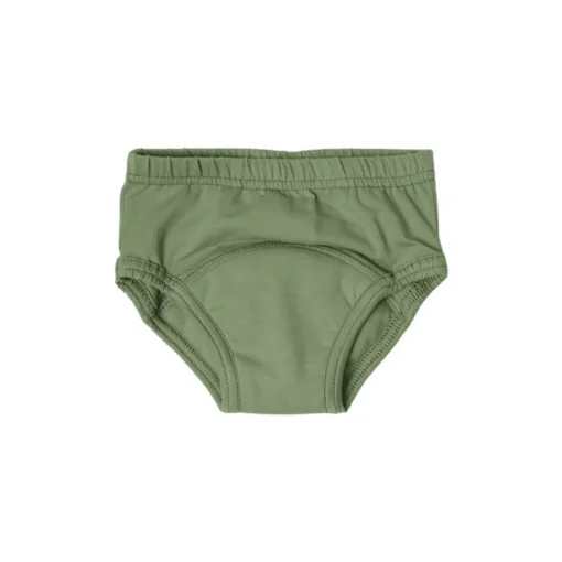 Toilet Training & Bedwetting*Snazzipants Snazzi Pants Organic Day Trainers