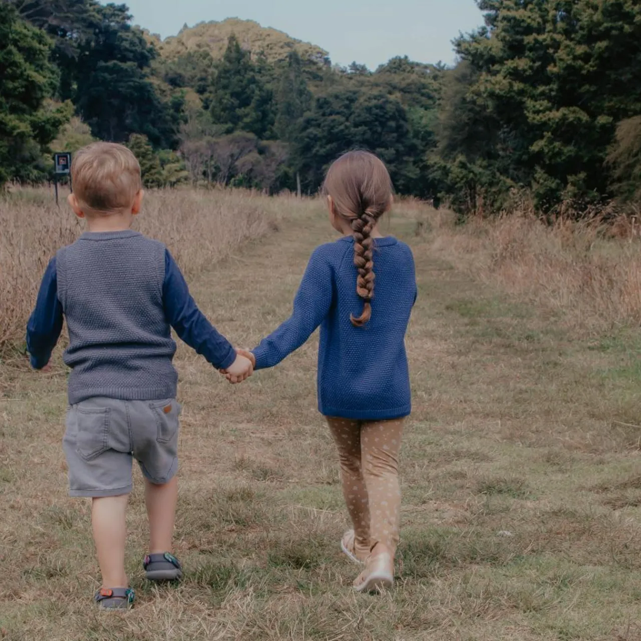 Tops & Pants|Merino Clothing & Sleepwear*The Sleep Store Merino Knit Crew Jumper