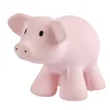 Bath Toys*Tikiri Toys Tikiri Natural Rubber Rattle & Bath Toy - Pig