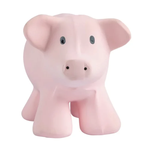 Bath Toys*Tikiri Toys Tikiri Natural Rubber Rattle & Bath Toy - Pig