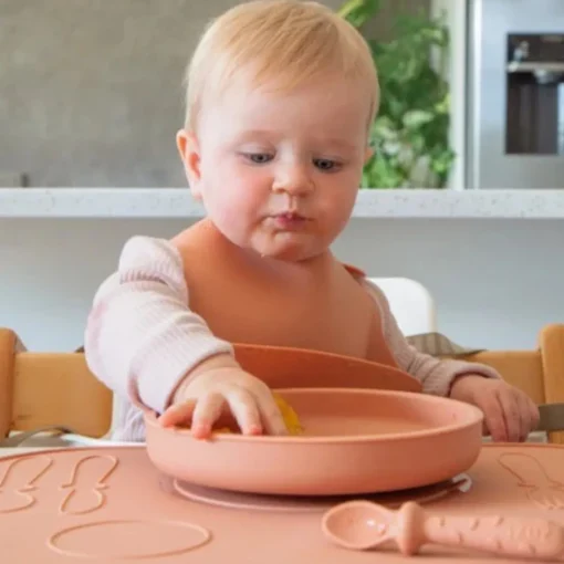 Bowls, Plates & Cutlery*Zazi Clever Plate with Lid